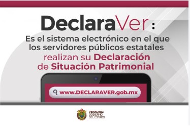 https://www.veracruz.gob.mx/contraloria/dspi/